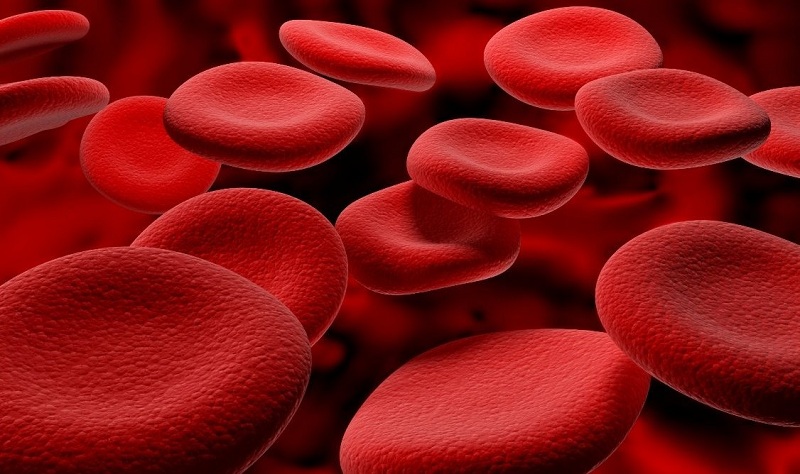 Increased Blood Clotting During Pregnancy