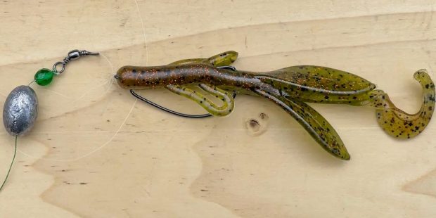 Angler holding largemouth bass caught on Carolina rig setup with soft plastic bait