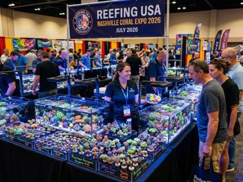 Colorful reef corals on display at the Reefing USA Nashville Coral Expo 2026 vendor tables